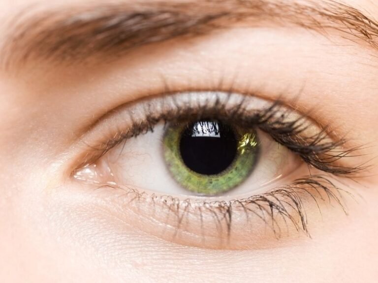 Oftalmologista em Ponta Grossa